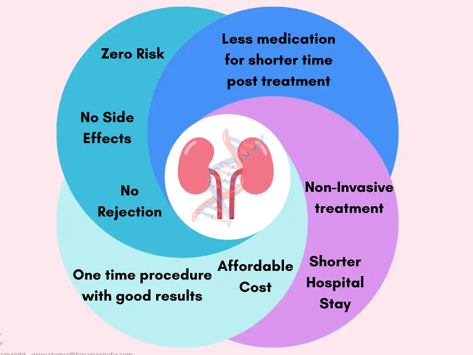 Um gráfico mostrando os benefícios potenciais da terapia com células-tronco no tratamento renal