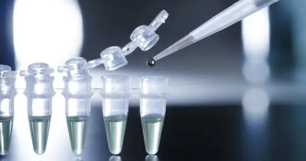 Protocolo de Injeção de Células-Tronco de Alta Potência para Condições Degenerativas
