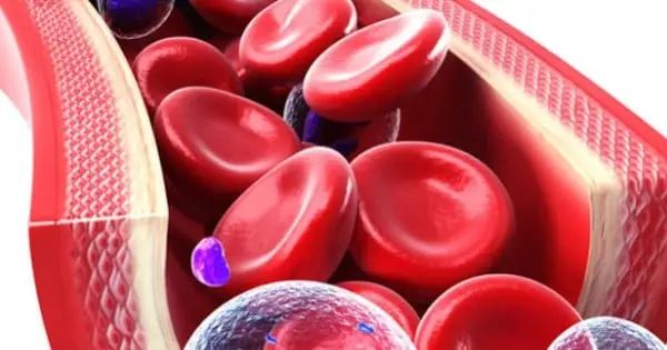 Mês de Conscientização sobre o Sangue do Cordão Umbilical – Por que é importante?