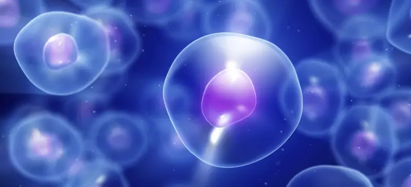 Tratamento de Lesão Cerebral com Células-Tronco do Sangue do Cordão Umbilical