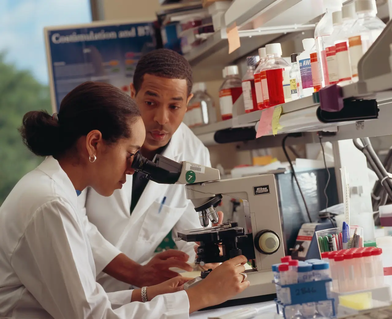 cientista examinando células-tronco ao microscópio.
