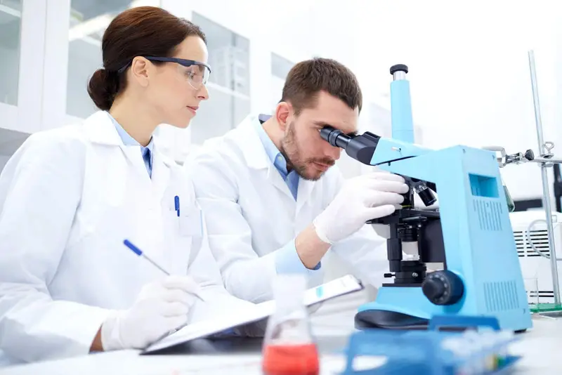 Tecnologias de Células-Tronco: O Futuro da Medicina Regenerativa